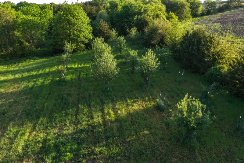 Listing photo 29